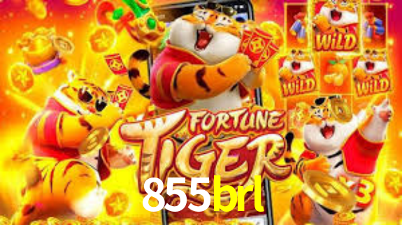 855brl,855brl.com