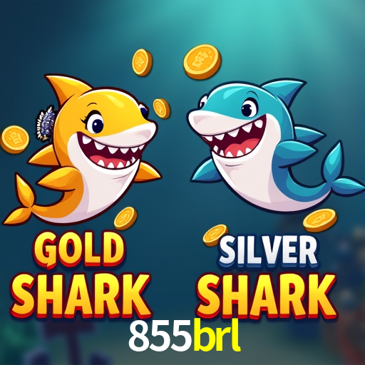 855brl